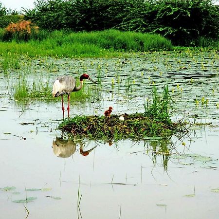 Ibishouse Farm Stay Bharatpur Exterior foto