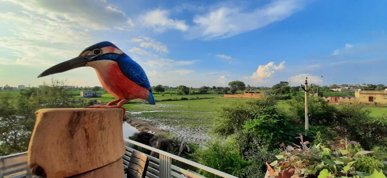 Ibishouse Farm Stay Bharatpur Exterior foto